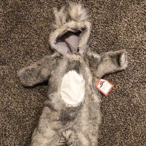 Pottery Barn woodland squirrel costume